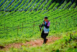 BIB: 
                            <button type="button" onclick="openModal(19163472)" class="btn btn-primary btn-sm float-right btn-popup" data-toggle="modal" data-target=".modal-high-quality">
                        <i class="fas fa-shopping-cart"></i> Add to Cart
                    </button>
                                            <button type="button" onclick="isThisMe(19163472, true)" class="btn btn-success btn-sm float-right btn-popup btn-isme hidden" data-toggle="tooltip" data-placement="bottom" title="นี่คือรูปของคุณใช่ไหม คลิกที่นี่เพื่อเอาเข้าอัลบั้ม">
                        <i class="fas fa-plus"></i> Add to album
                    </button>
                    <button type="button" onclick="isThisMe(19163472, false)" class="btn btn-warning btn-sm float-right btn-popup btn-isnotme hidden">
                        <i class="fas fa-ban"></i> Remove from album
                    </button>